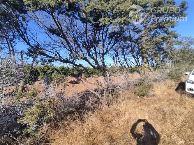 Se vende Gran Terreno Agrícola de 37,6 Hectárareas en Ovalle
