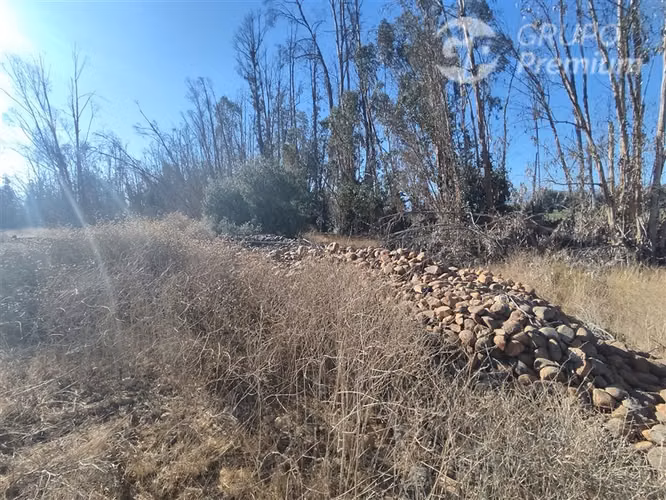 Se vende Gran Terreno Agrícola de 37,6 Hectárareas en Ovalle