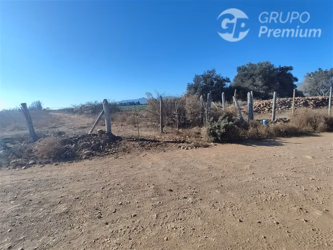 Terreno Agrícola Plano 37,75 Há con Agua Sector Los Olivos