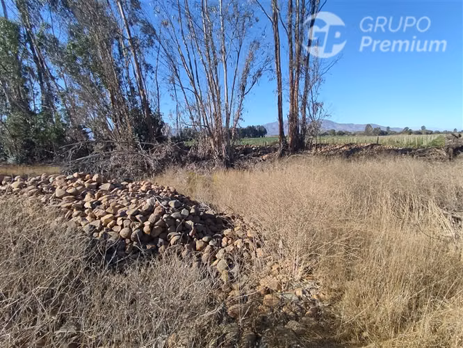 Terreno Agrícola Plano 37,75 Há con Agua Sector Los Olivos - Imagen 5