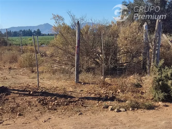 Se vende Gran Terreno Agrícola de 37,6 Hectárareas en Ovalle