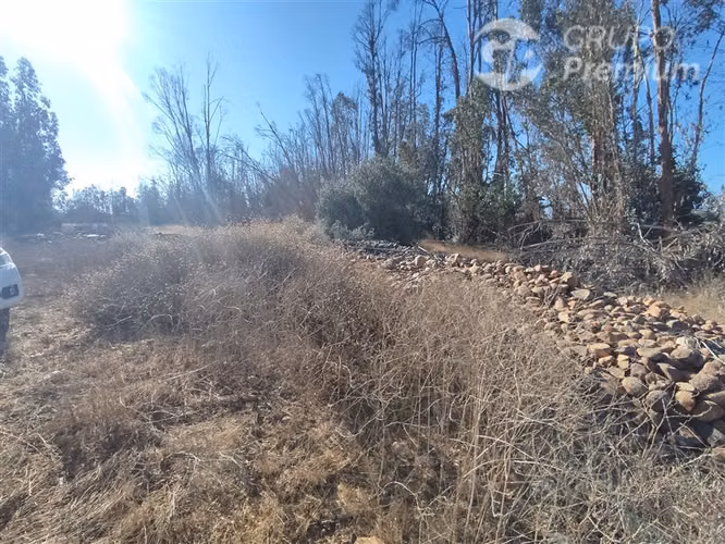 Se vende Gran Terreno Agrícola de 37,6 Hectárareas en Ovalle