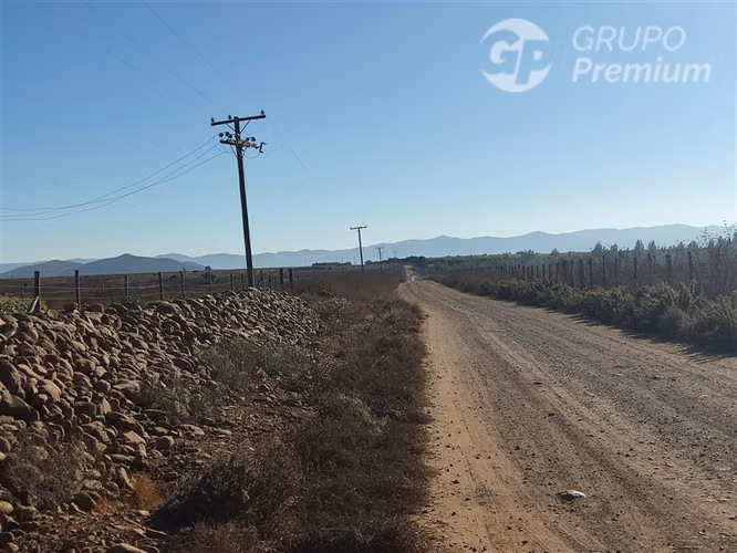 Se vende Gran Terreno Agrícola de 37,6 Hectárareas en Ovalle