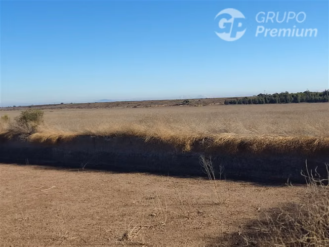Terreno Agrícola Plano 37,75 Há con Agua Sector Los Olivos - Imagen 10
