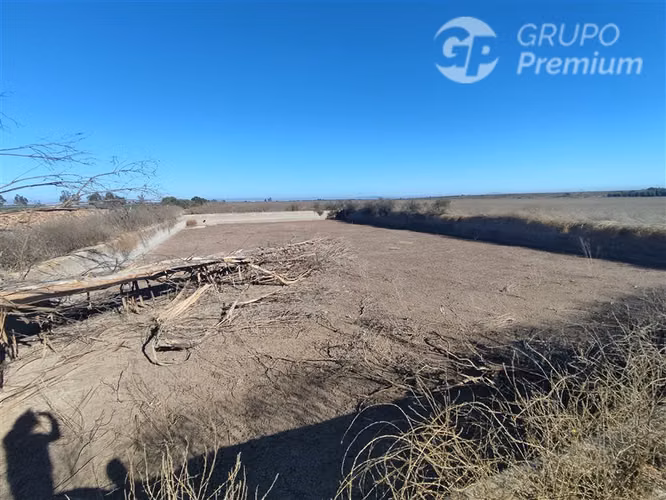 Se vende Gran Terreno Agrícola de 37,6 Hectárareas en Ovalle