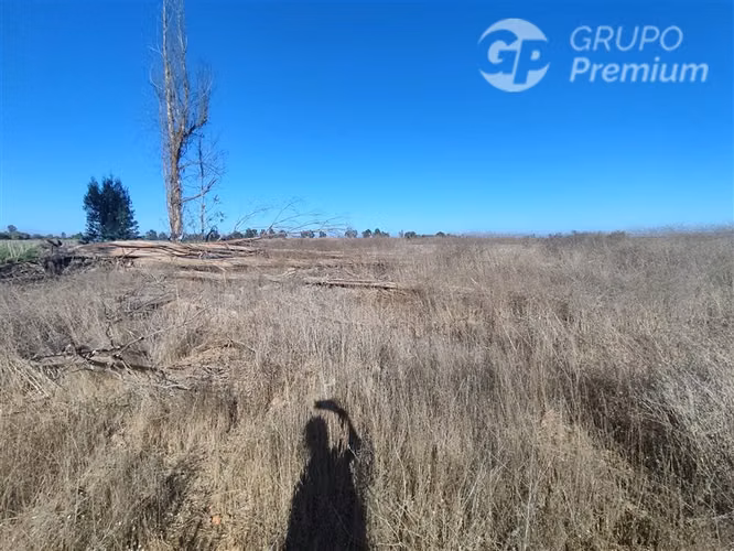 Se vende Gran Terreno Agrícola de 37,6 Hectárareas en Ovalle