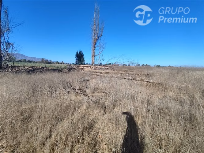 Se vende Gran Terreno Agrícola de 37,6 Hectárareas en Ovalle