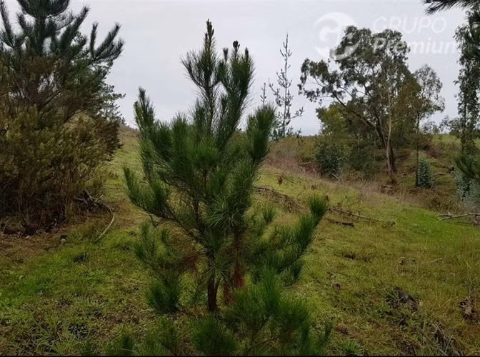 Parcela en venta en Paredones