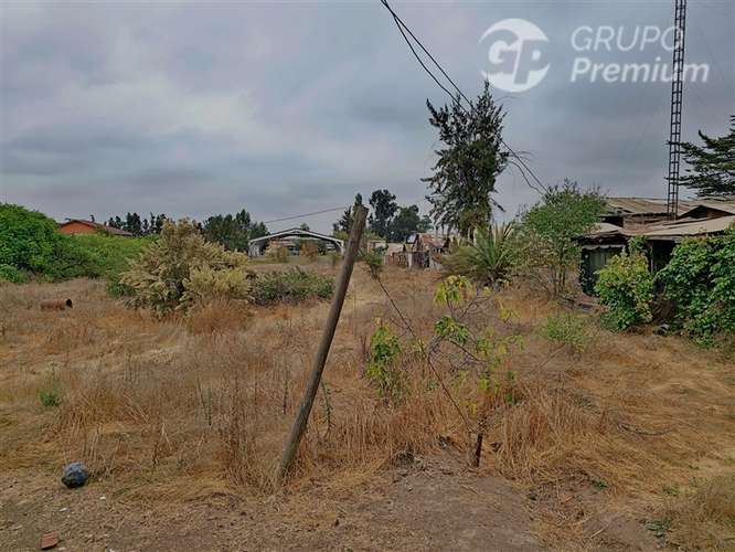 TERRENO 5000 M2 PARA CONSTRUCCION EN PADRE HURTADO - Imagen 11