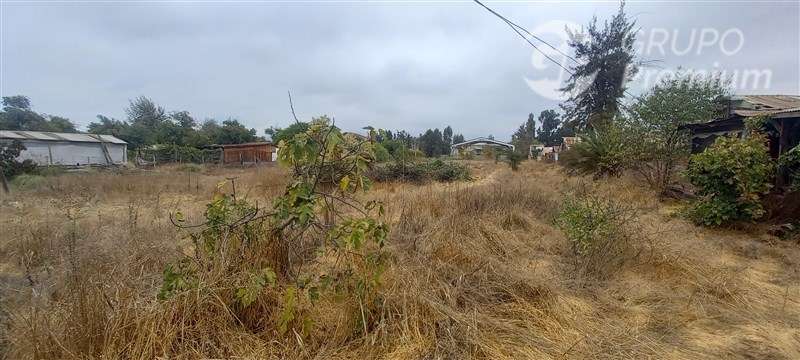 TERRENO 5000 M2 PARA CONSTRUCCION EN PADRE HURTADO - Imagen 20