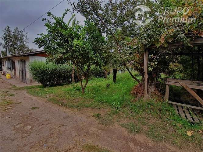 TERRENO 5000 M2 PARA CONSTRUCCION EN PADRE HURTADO - Imagen 6