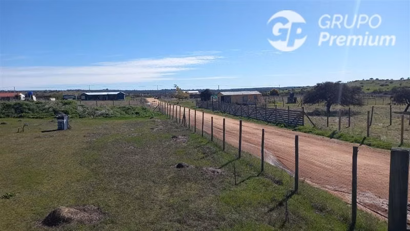 Parcela con amplia cabaña en venta en Litueche