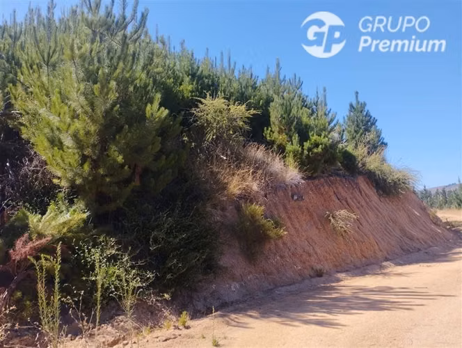 Parcela en Venta. Naturaleza cerca de Paredones