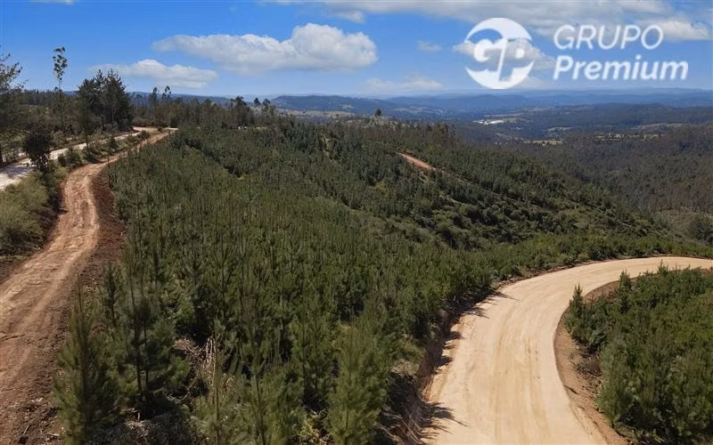 Parcela en Venta. Naturaleza cerca de Paredones