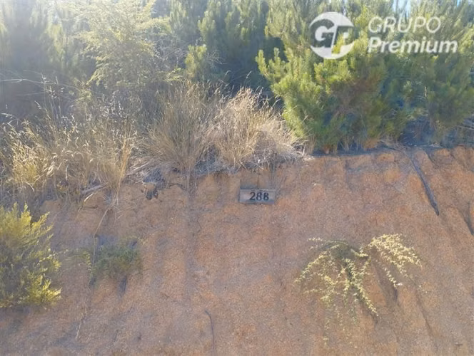 Parcela en Venta. Naturaleza cerca de Paredones