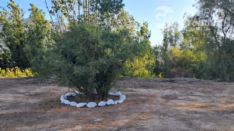 Venta casa en parcela San Isidro, Paz y Tranquilidad Vicuña