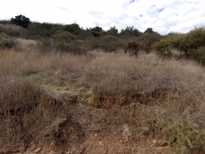 Parcela en venta en Litueche