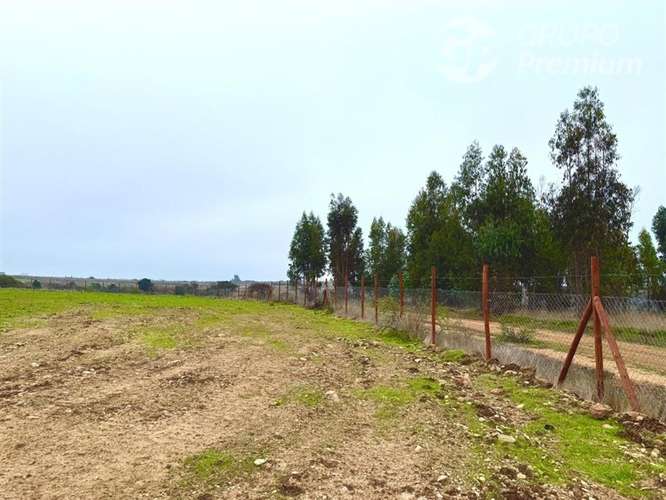 Parcela en venta Fundo Santa Rosa de Bucalemu - Imagen 11