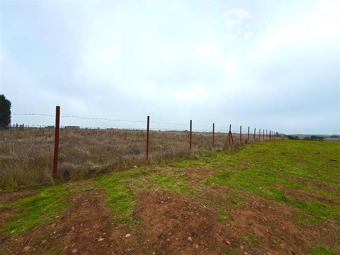Parcela en venta Fundo Santa Rosa de Bucalemu - Imagen 6