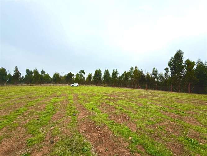 Parcela en venta Fundo Santa Rosa de Bucalemu - Imagen 7