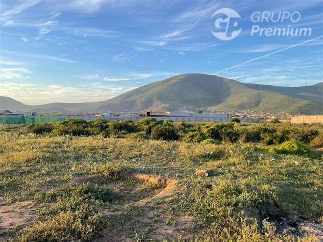 Hermosa Parcela en venta en Coquimbo (Pan de Azucar)