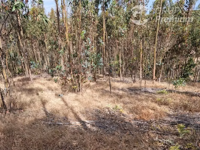 Venta de Parcela en Bucalemu - Santo Domingo