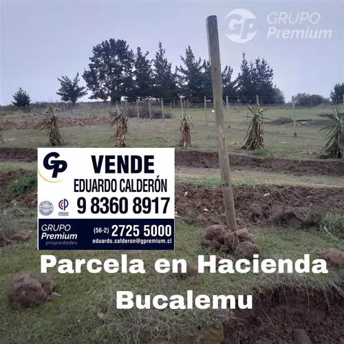 Parcela en venta en Paredones - Imagen 2