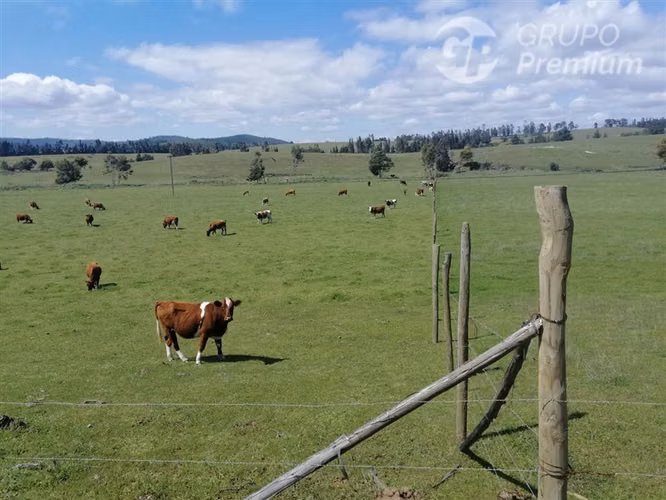 Parcela en venta en Paredones - Imagen 12