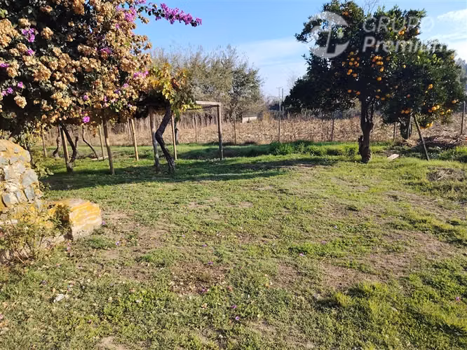 Casa en venta de 6 dorm. en Palmilla