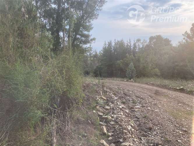 Parcela en venta en Cobquecura - Imagen 2