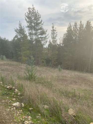 Parcela en venta en Cobquecura - Imagen 7