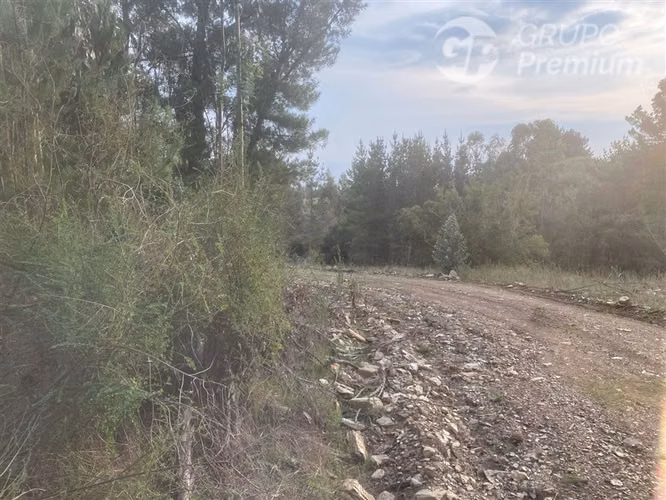 Parcela en venta en Cobquecura