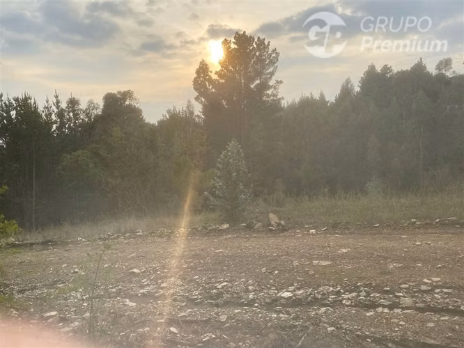 Parcela en venta en Cobquecura