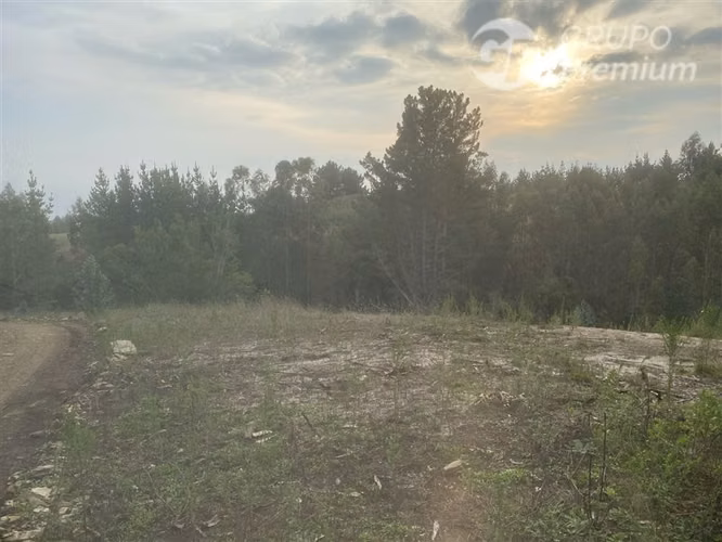 Parcela en venta en Cobquecura
