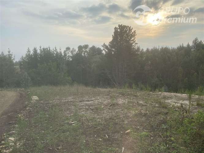 Parcela en venta en Cobquecura - Imagen 4