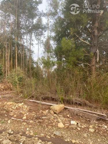 Parcela en venta en Cobquecura - Imagen 8