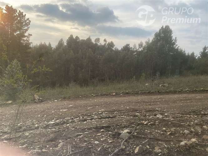 Parcela en venta en Cobquecura - Imagen 5