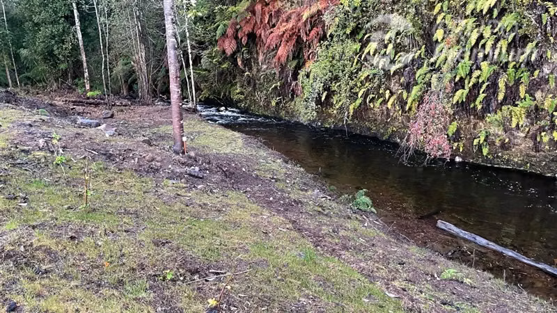 Parcela con 2 casas en venta en Puerto Varas