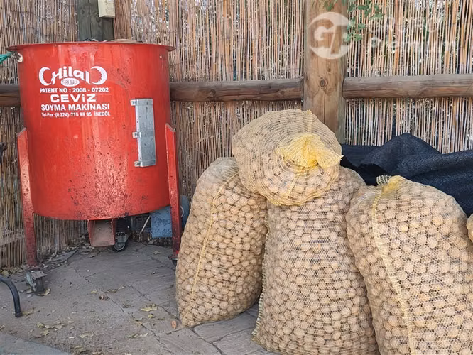 Parcela Agrícola 3 Há con Nogales y Casa Putaendo - Imagen 21