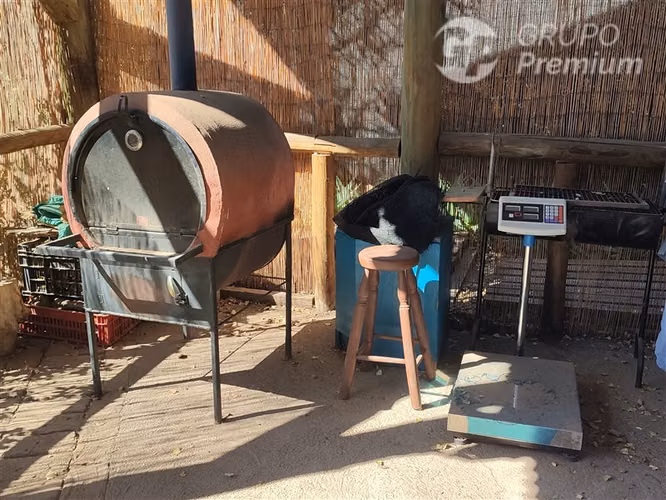 Parcela Agrícola 3 Há con Nogales y Casa Putaendo - Imagen 20