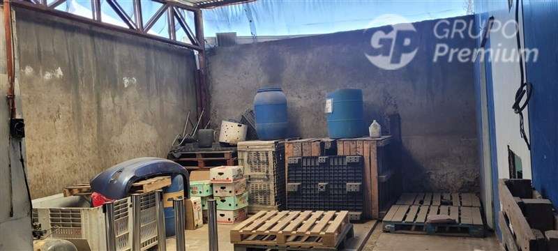 venta y propiedad industrial 7990UF