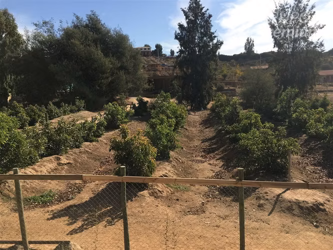 Parcela 3 dorm 3 baños de 5000 m2 en venta en Quillota