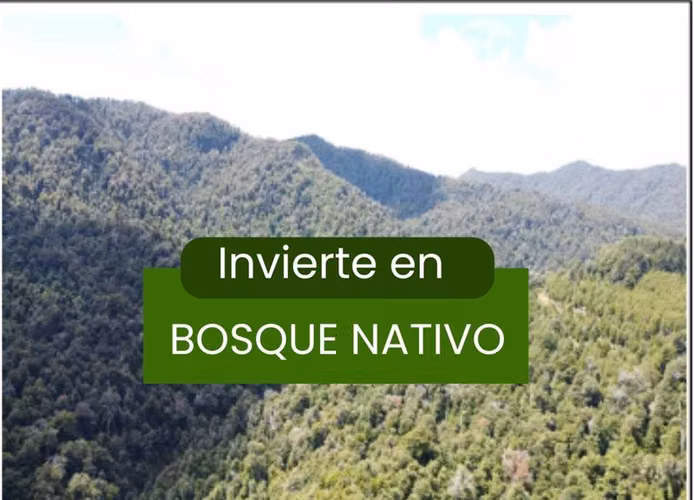 112 Ha. con Bosque Nativo y Río en Cunco Proyecto Turístico