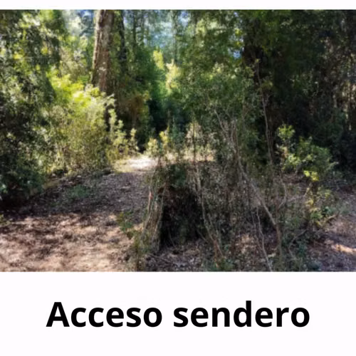 112 Ha. con Bosque Nativo y Río en Cunco Proyecto Turístico - Imagen 5