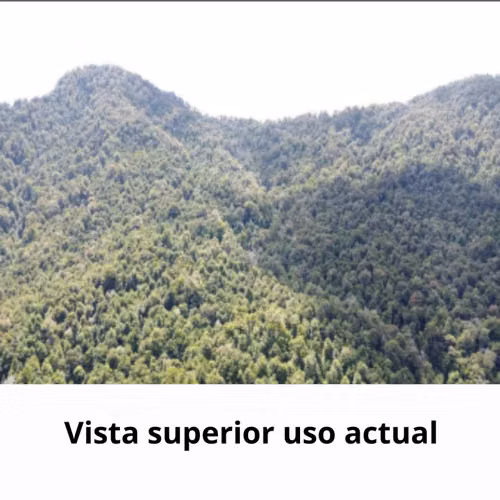 112 Ha. con Bosque Nativo y Río en Cunco Proyecto Turístico - Imagen 7