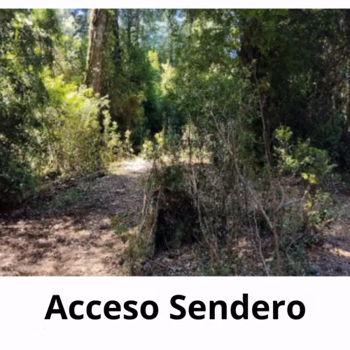 112 Ha. con Bosque Nativo y Río en Cunco Proyecto Turístico - Imagen 3