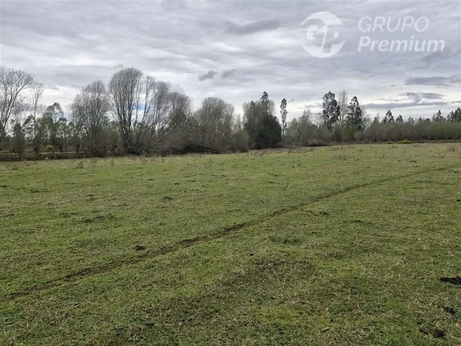 3.35 ha., a 20 minutos de Temuco, casi regalada..