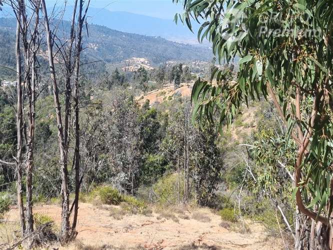 Excelente Parcela en venta en Valle Verde Mar - Imagen 5