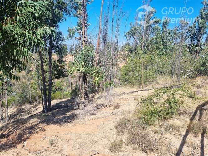 Excelente Parcela en venta en Valle Verde Mar - Imagen 2