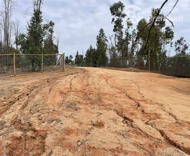 Excelente Parcela en venta en Valle Verde Mar - Imagen 9